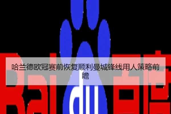 哈兰德欧冠赛前恢复顺利曼城锋线用人策略前瞻